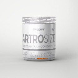 Artrosize 300g